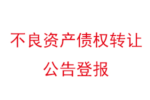 不良資產(chǎn)債權(quán)轉(zhuǎn)讓公告登報(bào)找我要登報(bào)網(wǎng)
