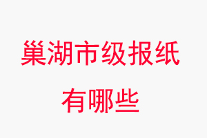 巢湖報(bào)紙有哪些,巢湖市級(jí)報(bào)紙有哪些找我要登報(bào)網(wǎng)