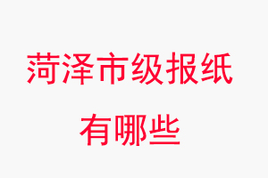 菏澤報紙有哪些，菏澤市級報紙有哪些找我要登報網