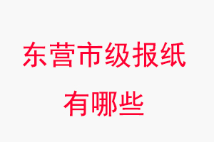 東營(yíng)報(bào)紙有哪些,東營(yíng)市級(jí)報(bào)紙有哪些找我要登報(bào)網(wǎng)