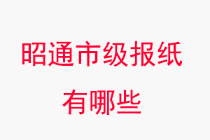 昭通報紙有哪些，昭通市級報紙有哪些找我要登報網