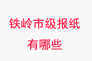 鐵嶺報(bào)紙有哪些,鐵嶺市級(jí)報(bào)紙有哪些找我要登報(bào)網(wǎng)