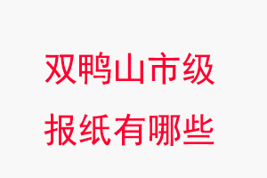 雙鴨山報紙有哪些,雙鴨山市級報紙有哪些找我要登報網